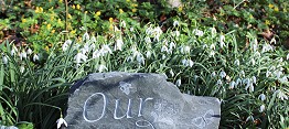 Spring Garden stone